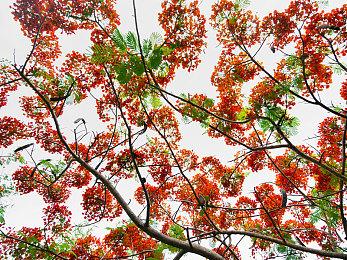 格斗对战游戏《轩辕剑：巅峰对决》将在台北电玩展亮相